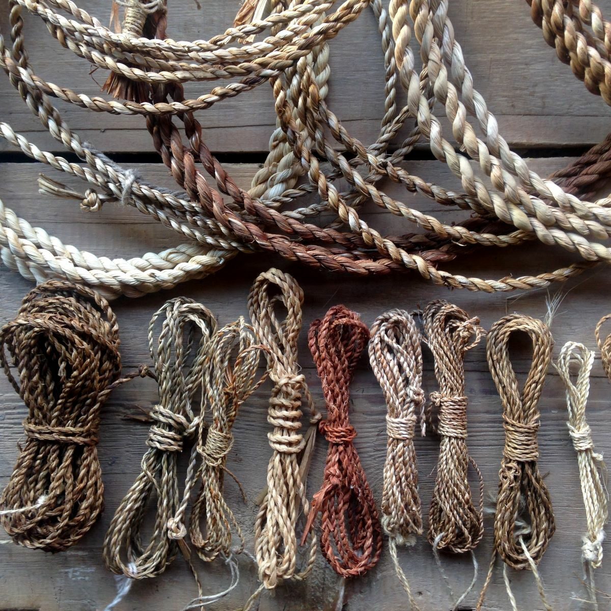 Cordage